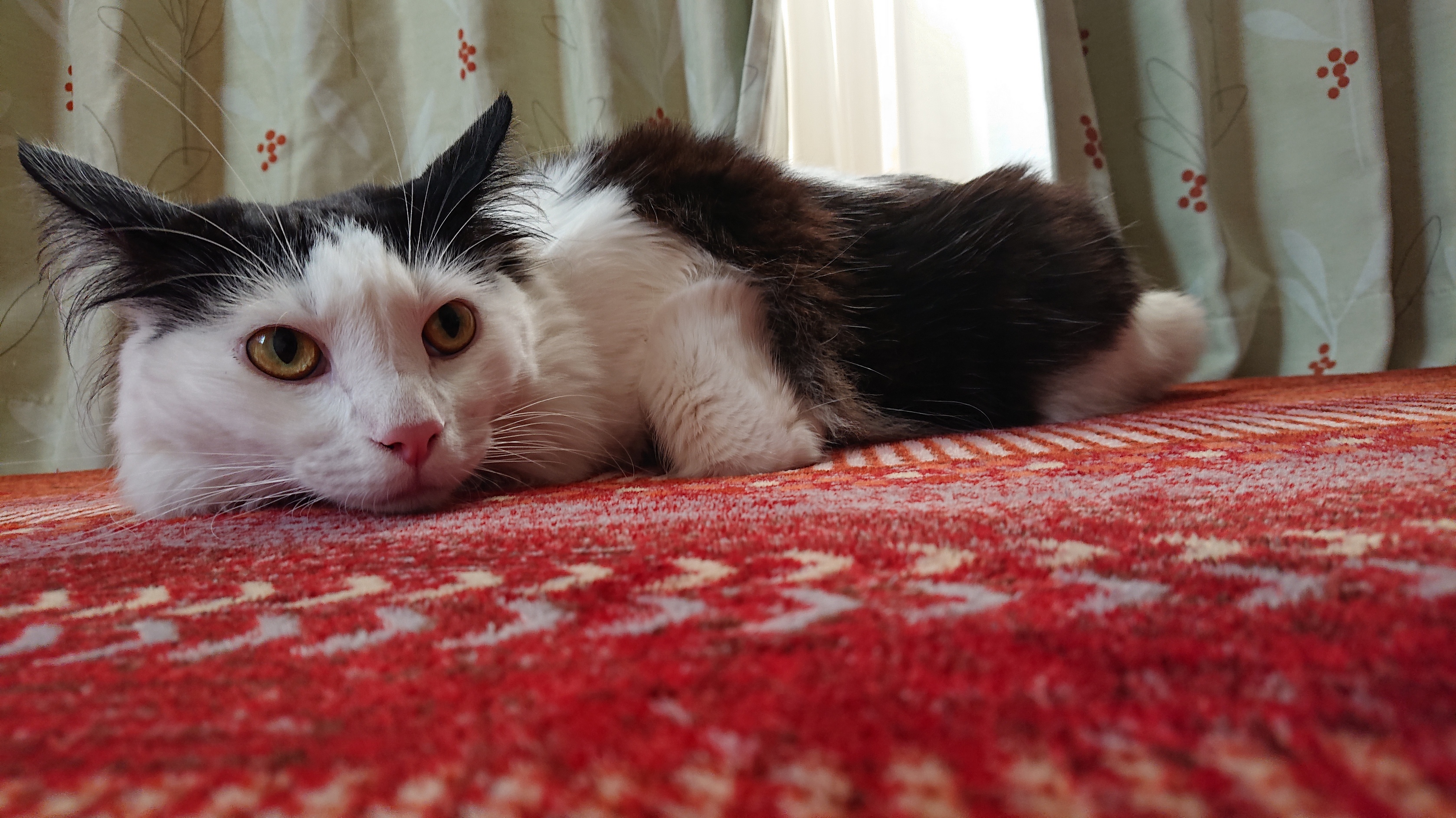 ２０２０仕事納め